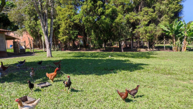 Chácara - Venda no bairro Campo do Meio - Araçoiaba Chácara